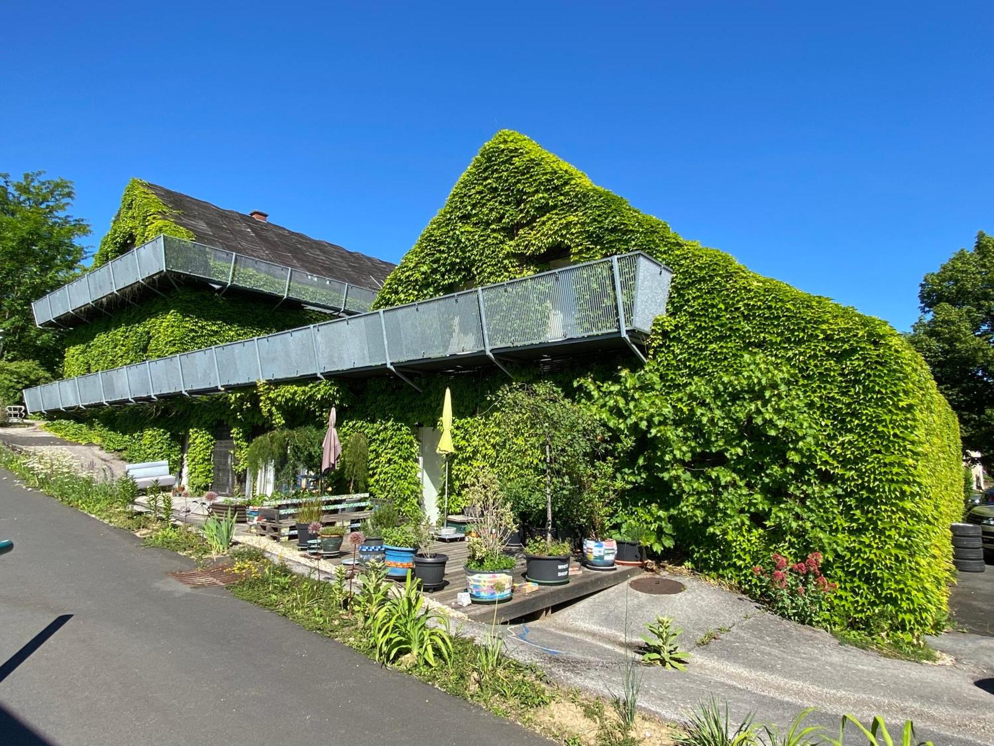 Wohnen Zwischen Golf Und Therme Bad Waltersdorf Εξωτερικό φωτογραφία
